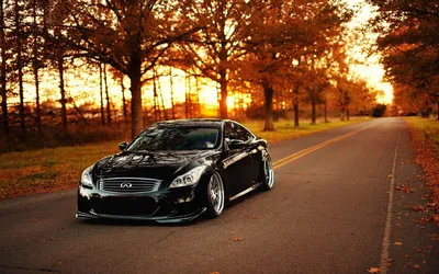 Обои дорогие автомобили 2560x1600 фото авто обои машины HD wallpapers cars  скачать обои высокого качества