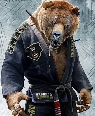 Крутой медведь - фото и картинки abrakadabra.fun