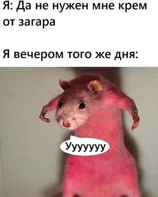 Картинки для монтажа - 78 фото