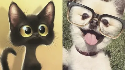 Marie lapkina🖤💙 (about cats and rats🖤💙) — профиль пользователя в  Шедевруме