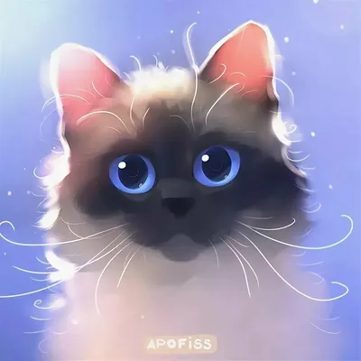 Котик в блестках | Розовые аксессуары, Котята, Милые котики