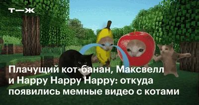 Картинки - Кот с голубыми глазами в графике