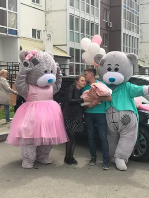 Аниматор Мишка Тедди в Павлодаре (id 61702979), заказать в Казахстане, цена  на Satu.kz