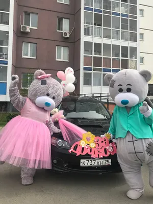 Мишка Тедди.Фотозона для мальчика. | С днем рождения, День рождения,  Рождение