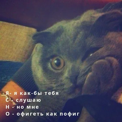 мне уже пофиг на тебя｜TikTok Search