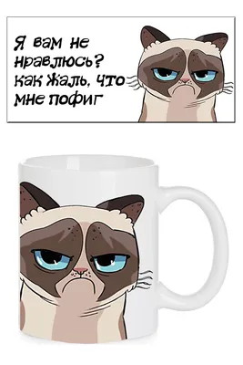 блин да мне пофиг на тебя｜Búsqueda de TikTok