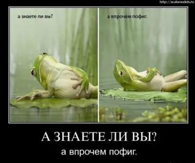 Картинки мне пофиг на тебя фотографии