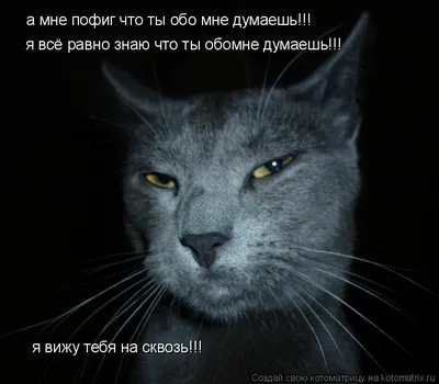 Пофиг, пляшем - НЕ СПЕШИ. Если понравился пост, оставь мне, пожалуйста,  любой смайлик в коммпентах. Тебе мелочь, а мне ОЧЕНЬ важно! @psi_people  любит тебя 😘 | Facebook