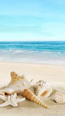 Природа море обои на телефон [42+ изображений]