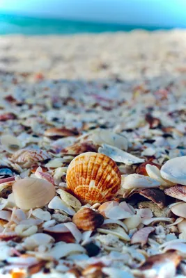 Чёрное море обои на телефон | Landscape photography nature, Landscape  photography, Landscape paintings acrylic