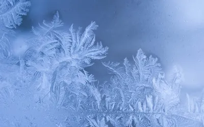 Уральский фотограф снял морозные узоры на стекле — Городские вести