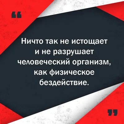Спорт и бездействие: короткие цитаты - инстапик | Мотивирующие цитаты,  Цитаты, Мотивационные цитаты