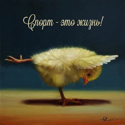 Картинки с надписями. Спорт - это жизнь!.