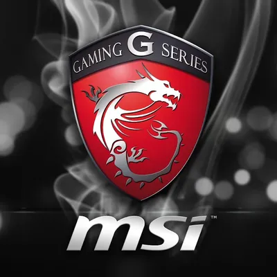 Кейс дилетанта: Деловые игры! Взгляд дилетанта на ноутбук MSI GE70 2OC-069