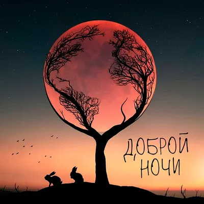 Сериал - Муж на одну ночь (Samee Chua Keun, 2022)