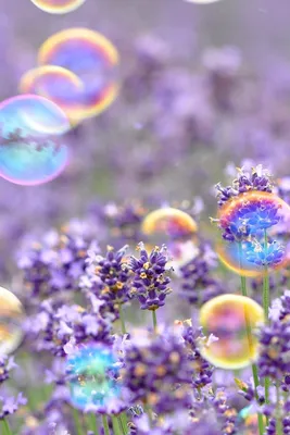 https://www.goodfon.ru/mood/wallpaper-download-640x960-nastroeniya-mylnye-puzyri-6498.html