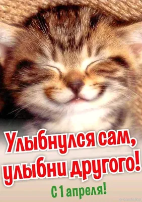 Поздравления с 1 апреля 2021 - картинки, стихи и прикольные шутки - Fun |  Сегодня