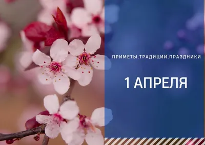 Пранки на 1 апреля | Идеи безобидных розыгрышей - YouTube
