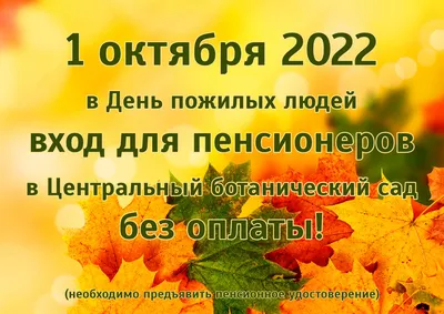 1 октября — Международный день пожилых людей