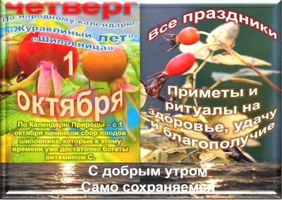 С 1 Октября - Днём Учителя и Наставника! - Turin Polytechnic University in  Tashkent