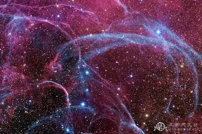 1 октября — День учителя и наставника