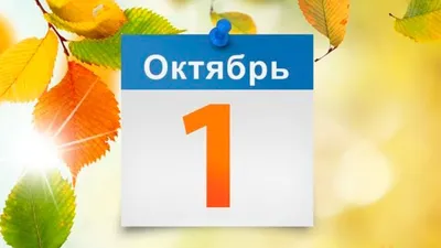 Что изменится с 1 октября | NORMA.UZ