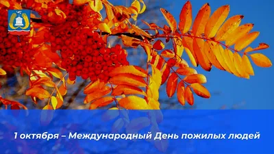 1 октября 2023 года: шесть праздников в один день - Газета МИГ