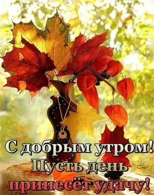 1 октября - Именины Ирины | ПРИВЕТСТВИЯ и ПОЖЕЛАНИЯ, открытки на каждый  день. | Фотострана | Пост №2223114507