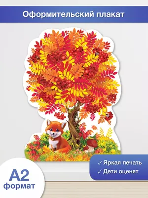 1 сентября свои двери откроют 18 новых школ – Новости – Каширское  управление социальной защиты населения