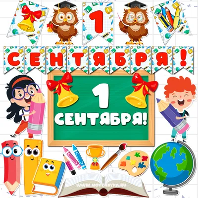 10 причёсок на 1 сентября и на каждый день в школу. | Косы и причёски от  Elvira Alexa | Дзен