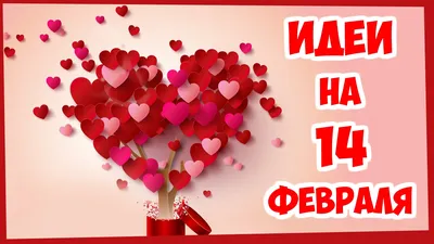 R2 photos - Не знаете, что подарить любимой на 14 февраля? ⠀ Специальное  предложение, действует только в феврале: 3 фотосессии в 1! ⠀ В программу  входят: - макияж и укладка; - три