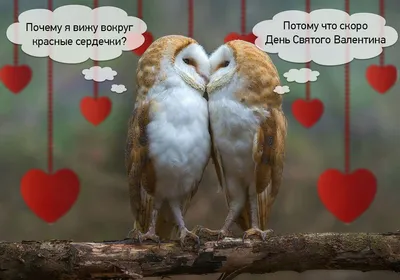 Картинки на 14 февраля фотографии