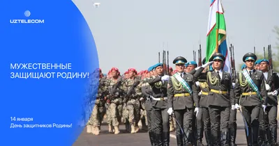 Beeline Uzbekistan on X: \"14 января в Узбекистане широко отмечается  национальный праздник - День защитников Родины. Beeline Uzbekistan  поздравляет всех смелых, мужественных и преданных защитников нашей Родины с  национальным праздником и желает