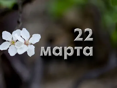 Какой сегодня праздник в России и мире — 22 марта - 21.03.2023, Sputnik  Южная Осетия