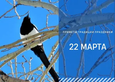22 марта \"Сороки - день жаворонка\" | 22.03.2023 | Болхов - БезФормата