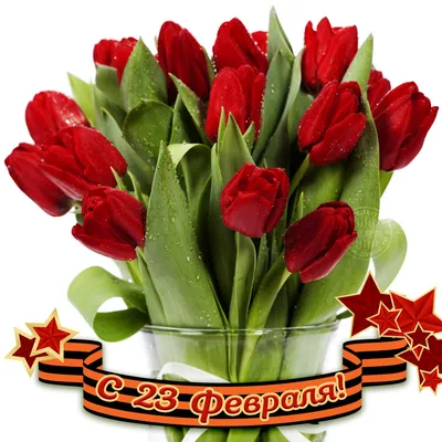 Носки в банке \"Любимому мужу на 23 февраля\" (5539279) - Купить по цене от  109.00 руб. | Интернет магазин SIMA-LAND.RU