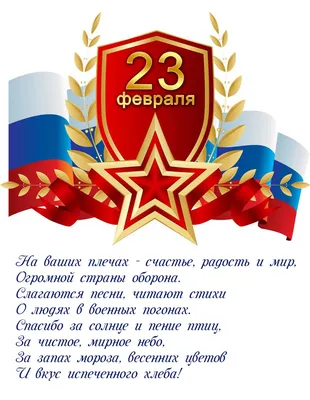 Прикольные поздравление в прозе и стихах на День защитника Отечества 23  февраля