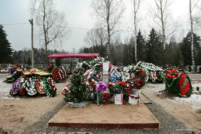 Поклонницы Юрия Шатунова из Саратовской области собрались на 40 дней после  смерти певца - KP.RU
