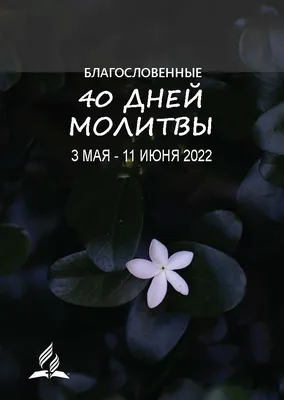 милый набор на крестины, 40 дней или годик 😇 цвет набора может быть любой  😉 . больше на крестины 👉 #pryanik_kz_крестины . больше д… | Cookies,  Sugar cookie, Food