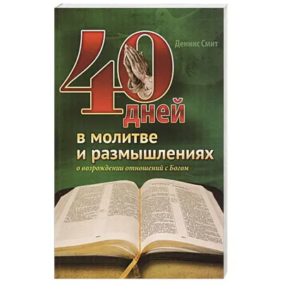 Дневник Рождества. 40 дней внутренней тишины Никея 16019639 купить в  интернет-магазине Wildberries