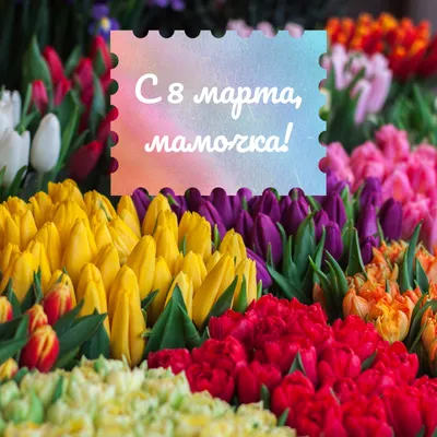 Мыло ручной работы Любимой мамочке, подарок маме, подарок на 8 марта в  интернет-магазине на Ярмарке Мастеров | Мыло, Москва - доставка по России.  Товар продан.
