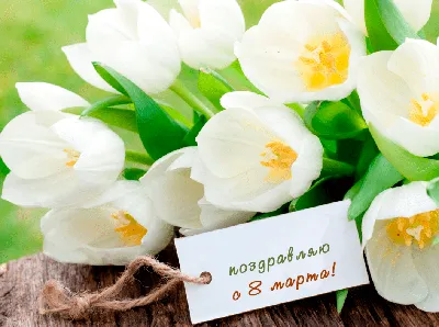 Цветы, которые дарят на 8 марта: список лучших цветов на 8 марта | Блог  Семицветик