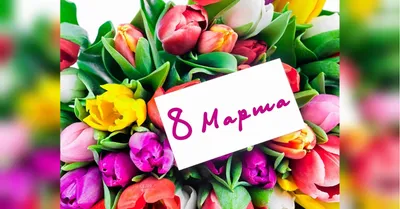 8 Марта: яркие открытки и красивые поздравления воспитателям и учителям -  «ФАКТЫ»