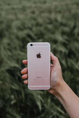 iPhone 6S In 2024! (Still Worth It?) (Review) - YouTube