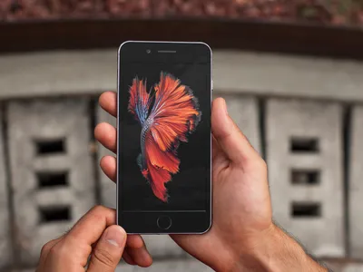 iPhone 6s Plus 32GB Space Grey - iStore Zambia