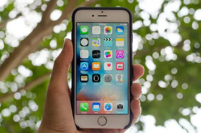 The Differences Between the iPhone 6 and 6 Plus