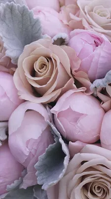 обои #обоинателефон #обоидлятелефона #море #океан #вода #sea #ocean #water # цветы #flowers #wall… | Flower wallpaper, Floral painting, Iphone  background wallpaper