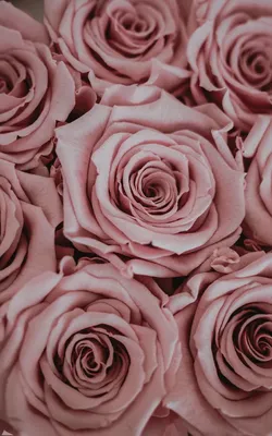 обои #обоинателефон #обоидлятелефона #море #океан #вода #sea #ocean #water # цветы #flowers … | Rose gold wallpaper, Space phone wallpaper, Pretty  wallpaper iphone