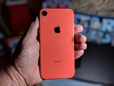 iPhone XR Case - Clear - Education - Apple