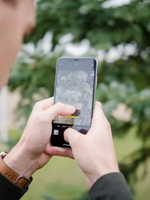 Apple iPhone XS Max Review - Is It Just Too Big?